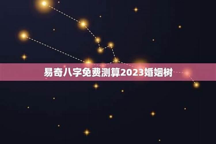 易奇八字软件推出的婚姻树算的准吗？