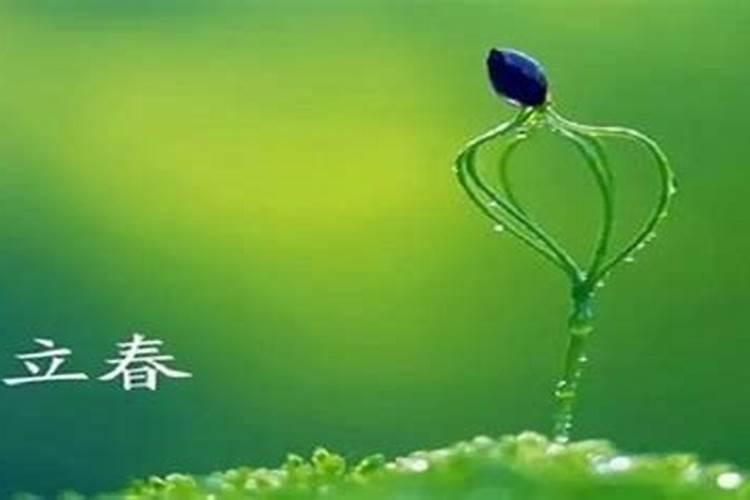 算命到底准不准啊？