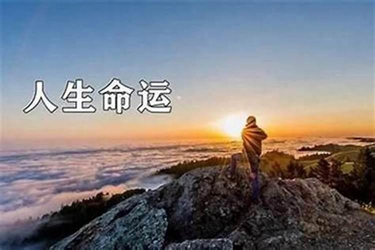 八字合婚害了多少人