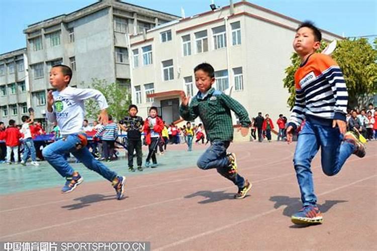2025年4月3日属什么冲什么