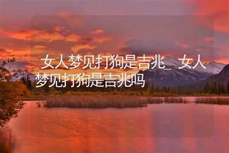 梦见好多屎预兆什么