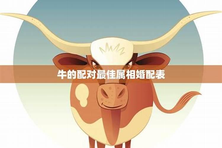 1970年属狗男2025年运势