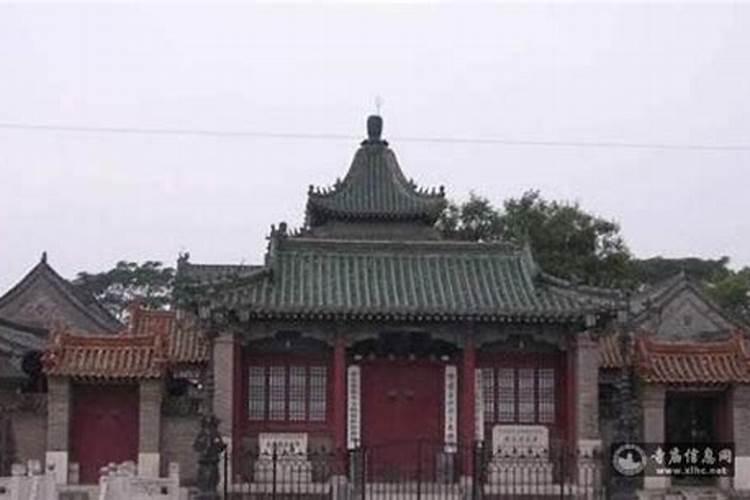 合川有哪些地方可以摘清明菜