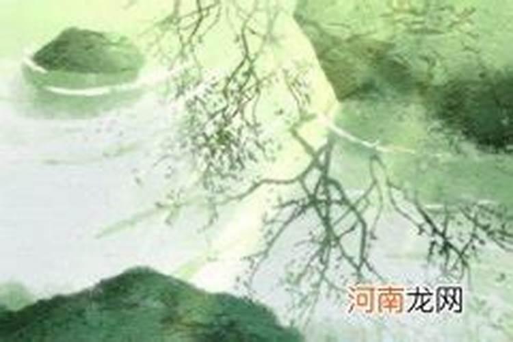 78年属马男人2024年运势如何