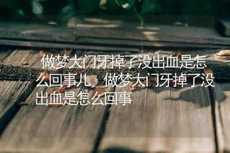 属蛇2026年运势