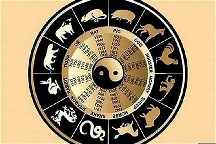 生肖属相不合是不是不适合结婚,属相不合就不能结婚生活在一起吗