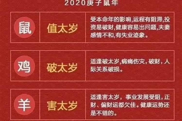 虎年哪个属相犯太岁？