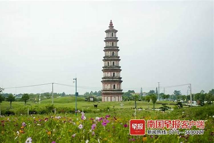 生肖马2025年运势 属马2025年运势及运程