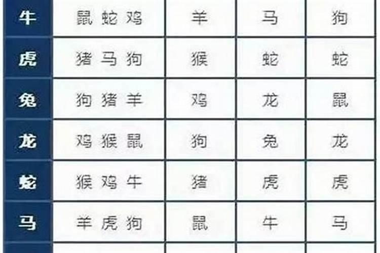 牛和鼠合不合