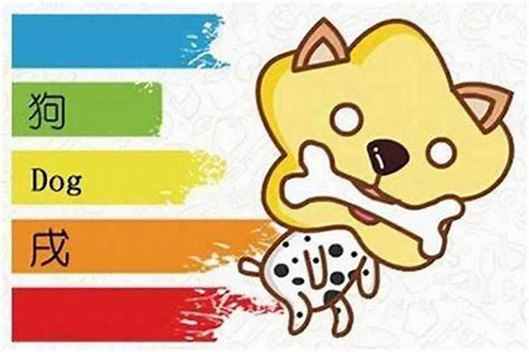 什么属相的人最适合养猫咪,什么属相的人最适宜养猫