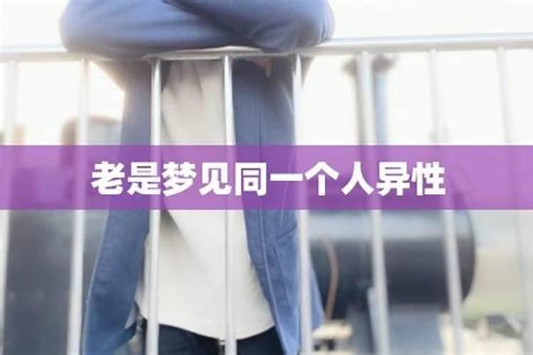 1996年几月鼠命苦