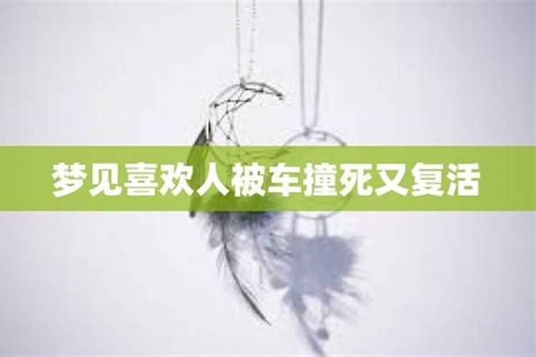 2025生肖鸡的运势大全