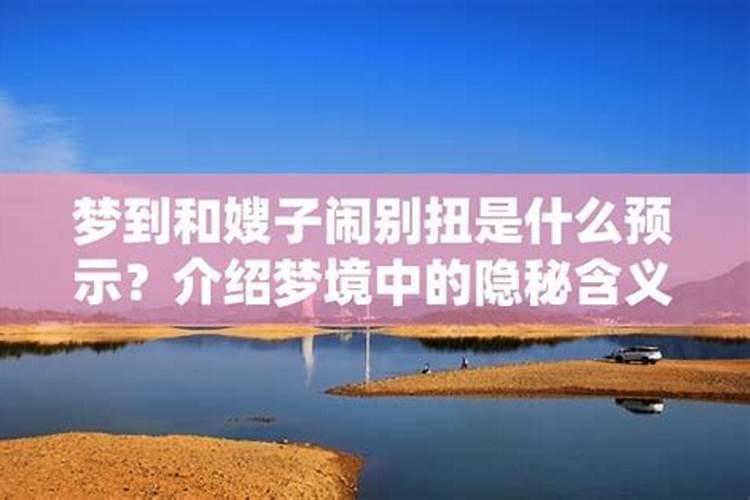 氨基酸进入细胞的方式