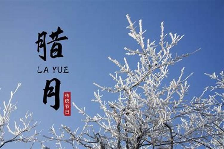 我属狗1983年一月出生(阴历腊月初一),请问我的命运如何？