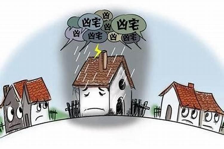 鼠三合和六个合生肖哪个最好