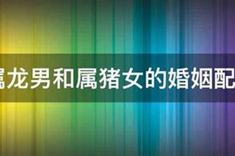男的是83年属猪的和女的是88年属龙的八字相配吗？