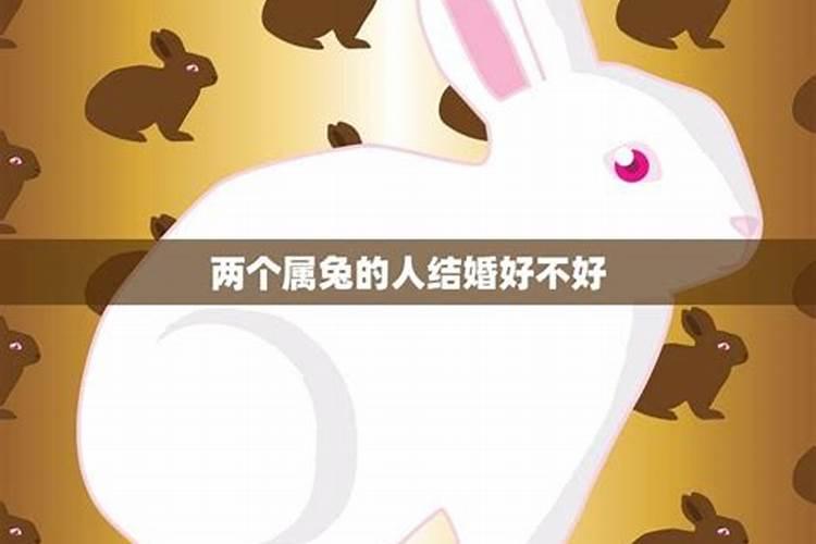 农历84年8月18日的男人什么命