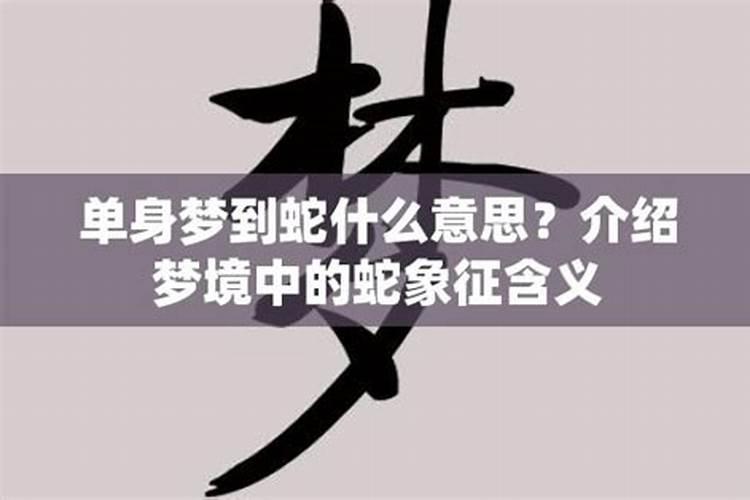 单身未婚女梦到蛇代表什么