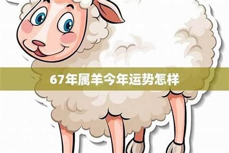 两个属羊的人结婚婚姻怎样属羊人和属羊结婚婚姻如何