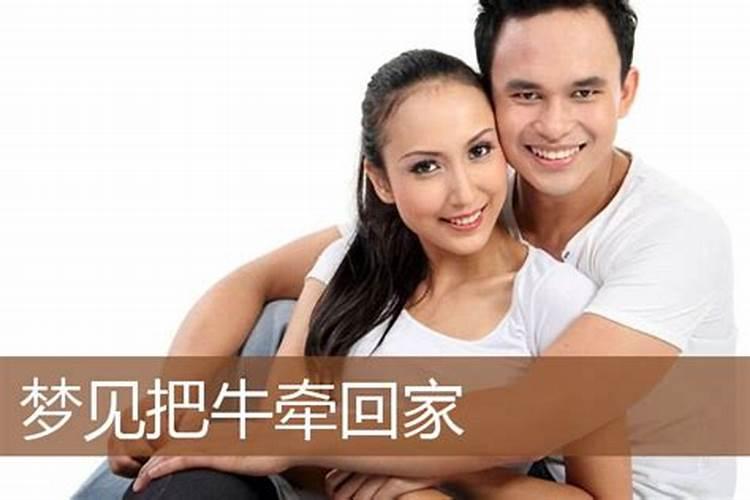 梦见自己家牛被牵走