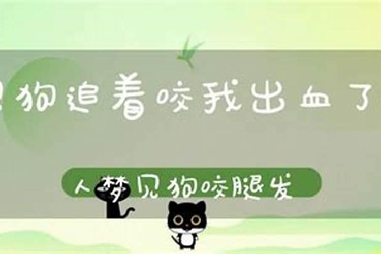 重阳节那天是什么星座