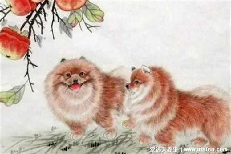 2024年犯太岁可以出门旅游吗需要注意什么？