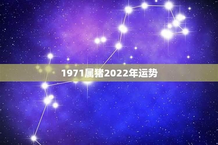 2025年71年属猪女的运势和财运如何