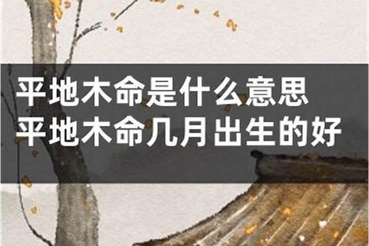 2019年12月11号出生的男孩平地木命,取名宜用带辶的字