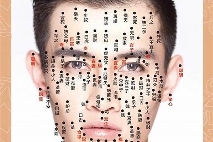 生肖鼠未来5年的运势