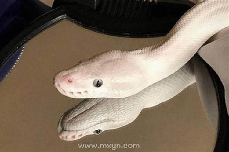 立夏之后家长养需要注意什么？如何让孩子长高？