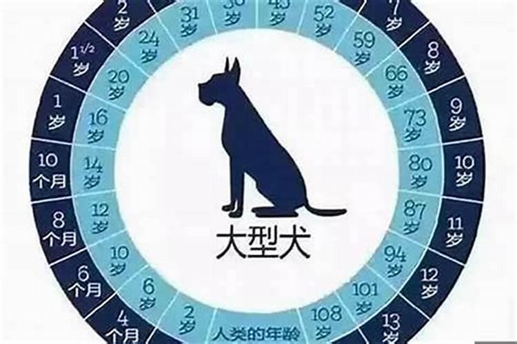 梦见车翻了是什么预兆