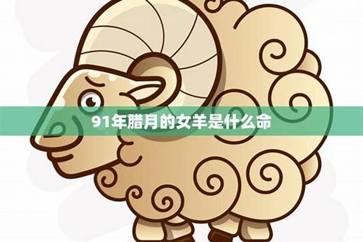 91年农历12月17日出生是什么命运