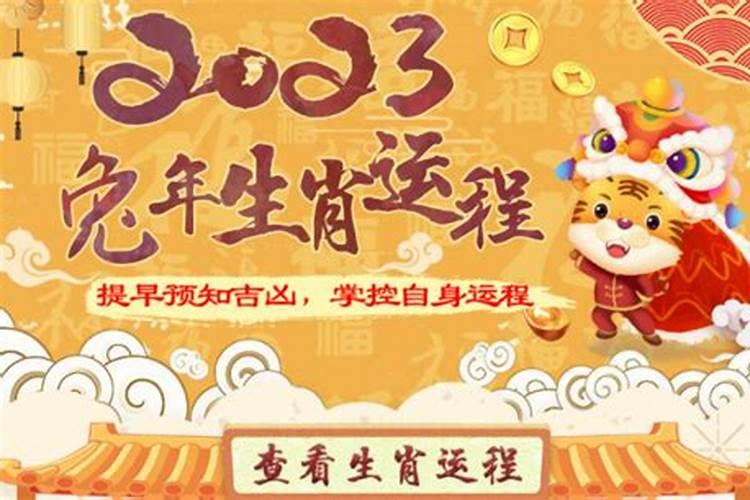 卦象出来了怎么看爻