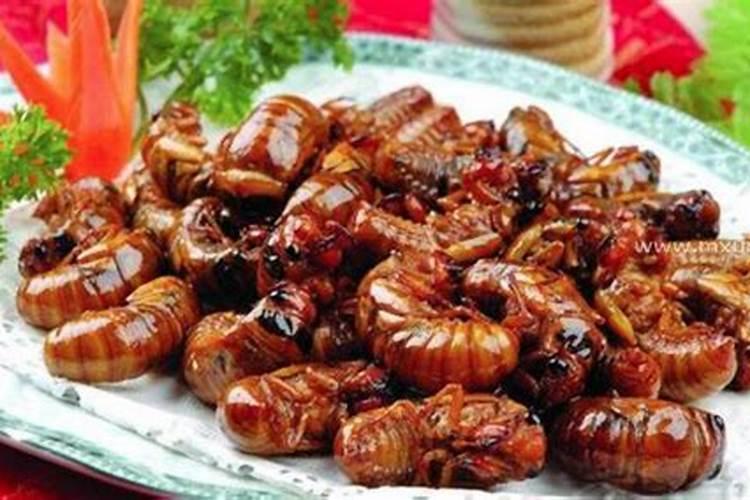 什么是动爻和爻位,如何解读卦爻