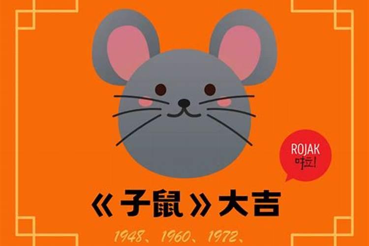 生肖鼠1996年2025年运势如何 生肖鼠1996年2025年全年运势