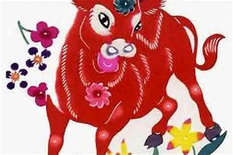 牛女狗男属相婚配好吗,85年属牛一生三大劫难