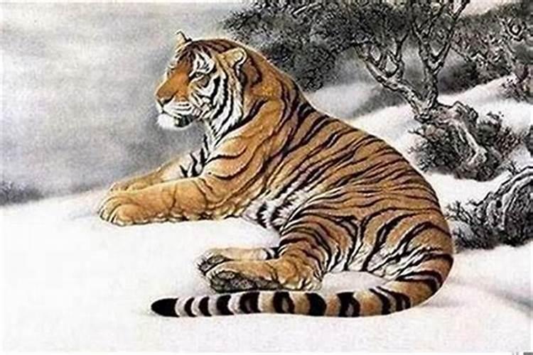属虎几月出生财运好 五个富贵财运月？
