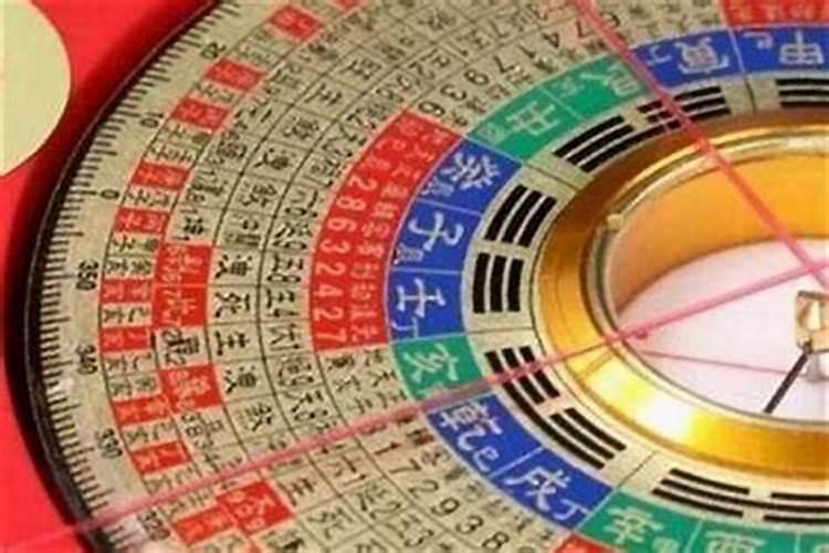 马蹄金烧纸的用途