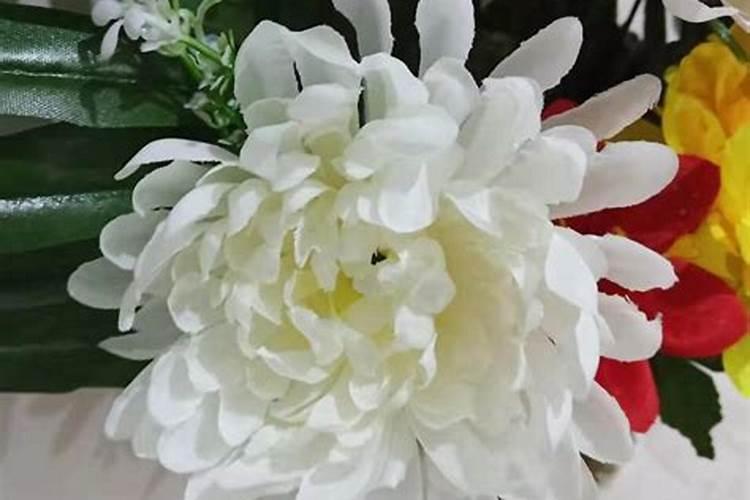 清明节祭祀用什么鲜花
