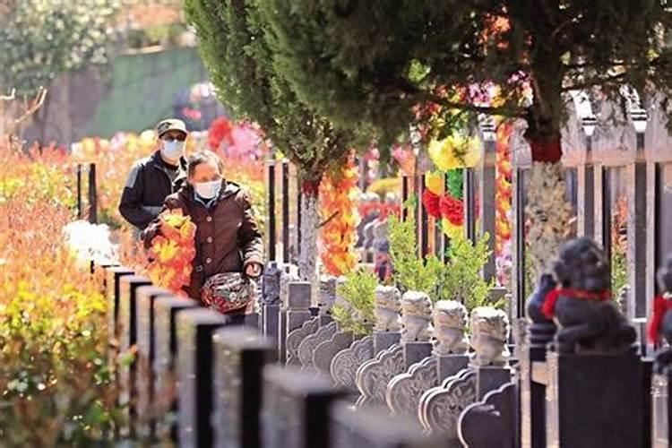 清明节的鲜花叫啥花哪些鲜花可以祭祀使用