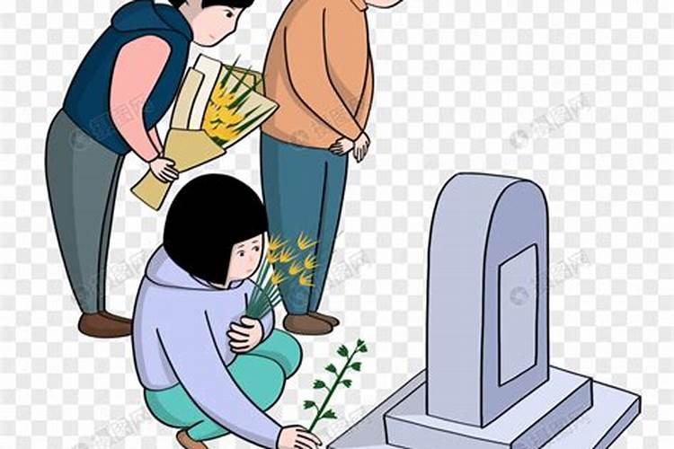 清明节扫墓买什么鲜花