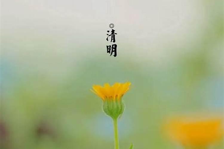 清明节生日的人好不好