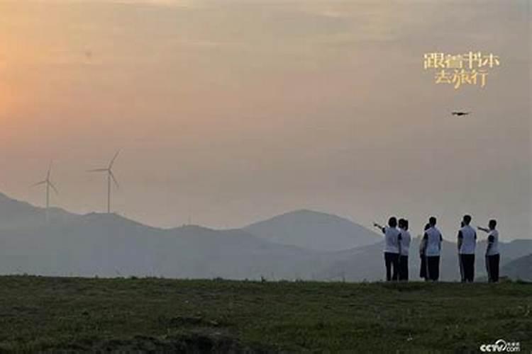 2024年出生是真龙还是假龙,2024年出生的属龙人命运如何