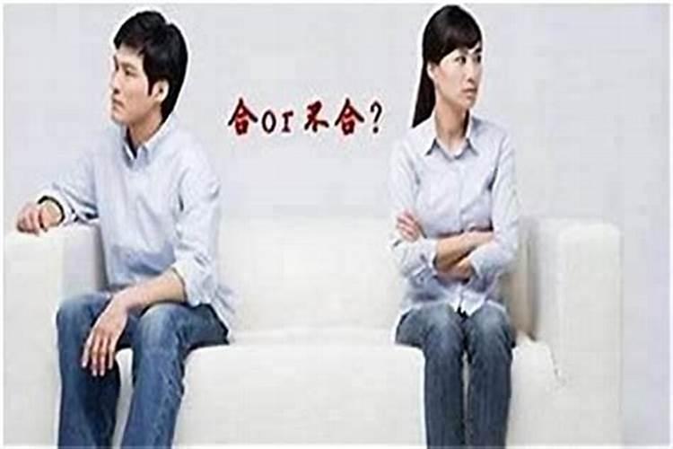 有没有男羊女狗结婚的 婚姻怎么样