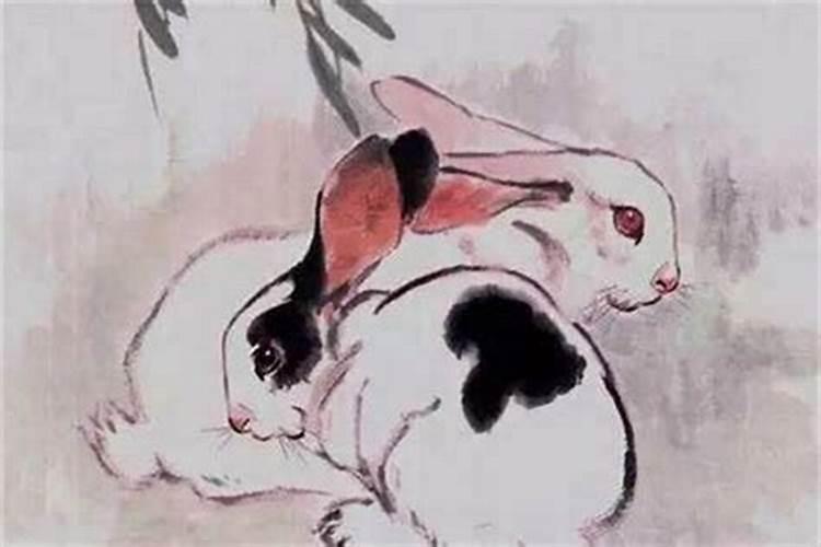 女属兔戴什么旺自己旺家人 属兔的女人带什么好