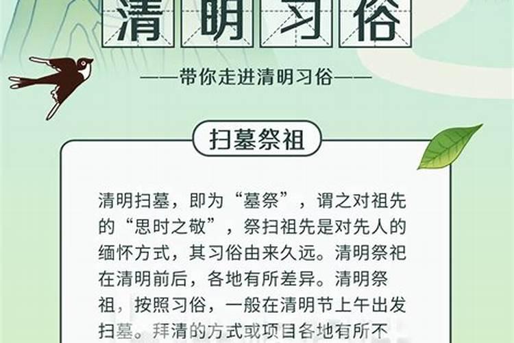 梦见猫受伤流血的预兆