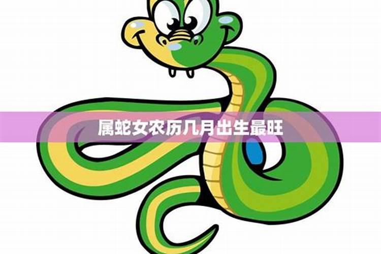 属蛇几月出生最好命