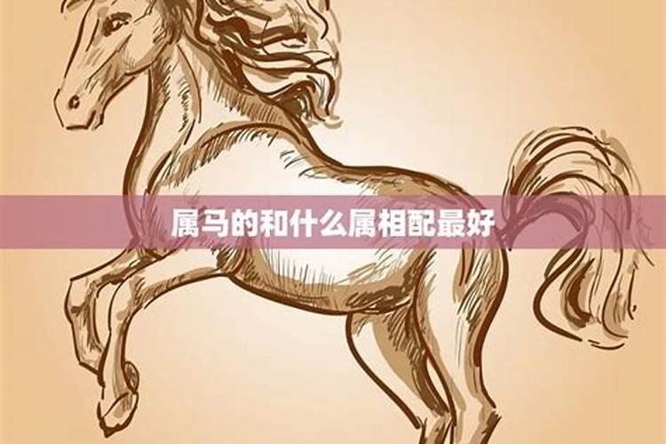 合姻缘:属马的女人与属狗男八字好吗 婚姻怎么样
