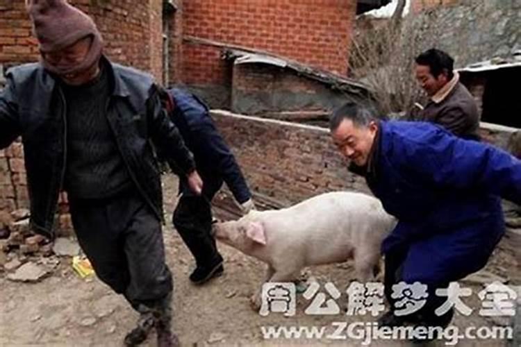 张天师螭龙钮白玉印和田玉资讯