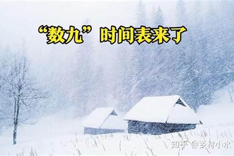 一年有哪些九天？